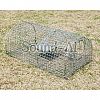 Mouse trap SD634