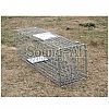 Humane animal trap SD650