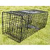 Raccoon trap SD601