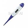 Thermometer