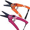 Hoof shears