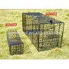 Small Live Animal Cage Trap For Raccoons SD603